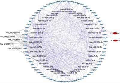 A Diagnostic Model Using Exosomal Genes for Colorectal Cancer